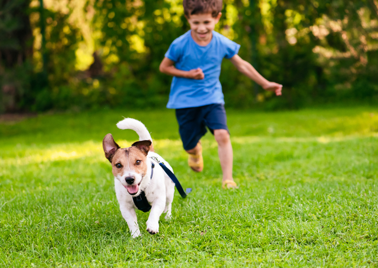 A child chasing a small dog across a grassy garden on a sunny day