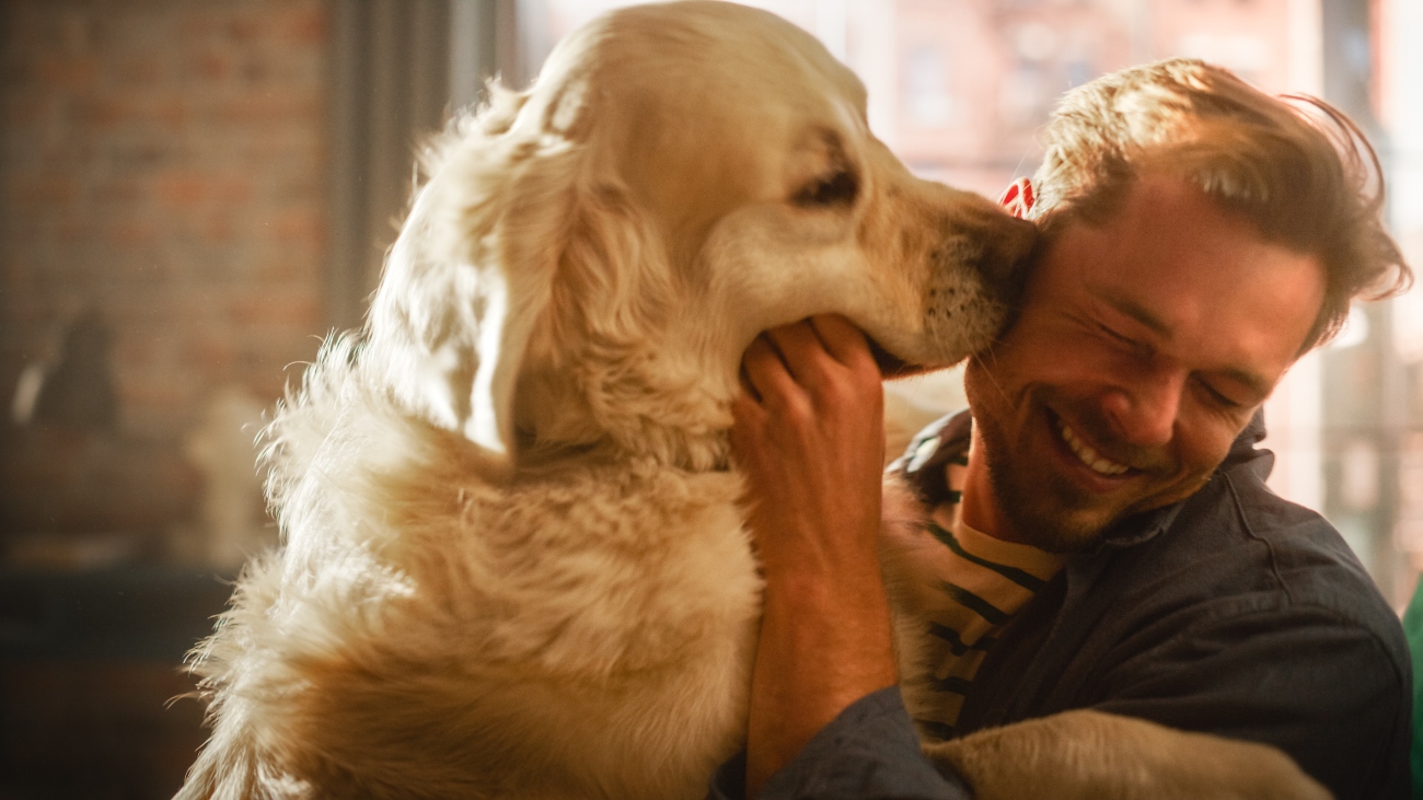 dog licking owners face