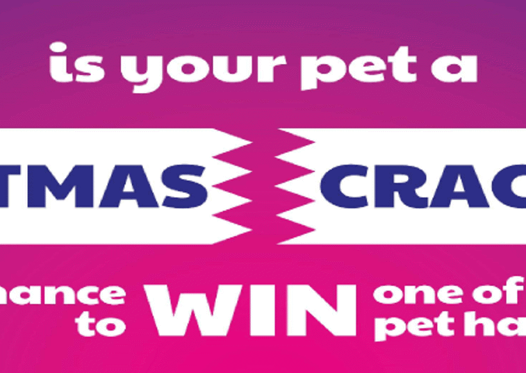 Purely Pets Christmas Cracker Competition Banner