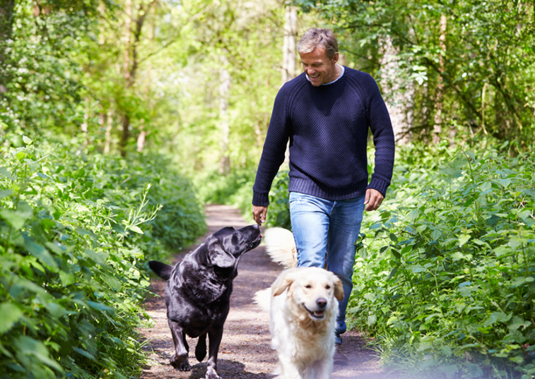 Dog ownership linked to longer life in heart attack and stroke survivors