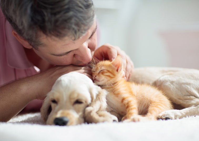 A man kissing the head of a kitten as it leans against a puppy