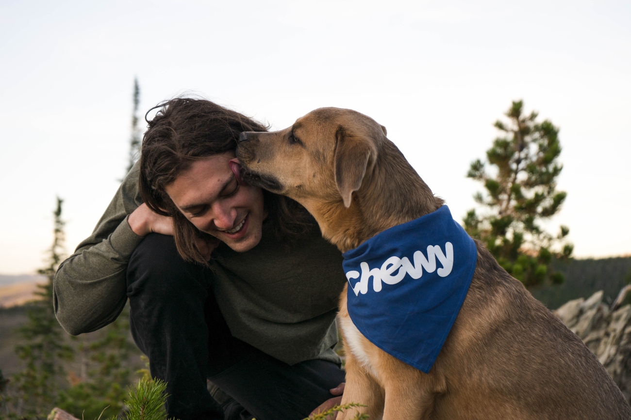 Dog bandana