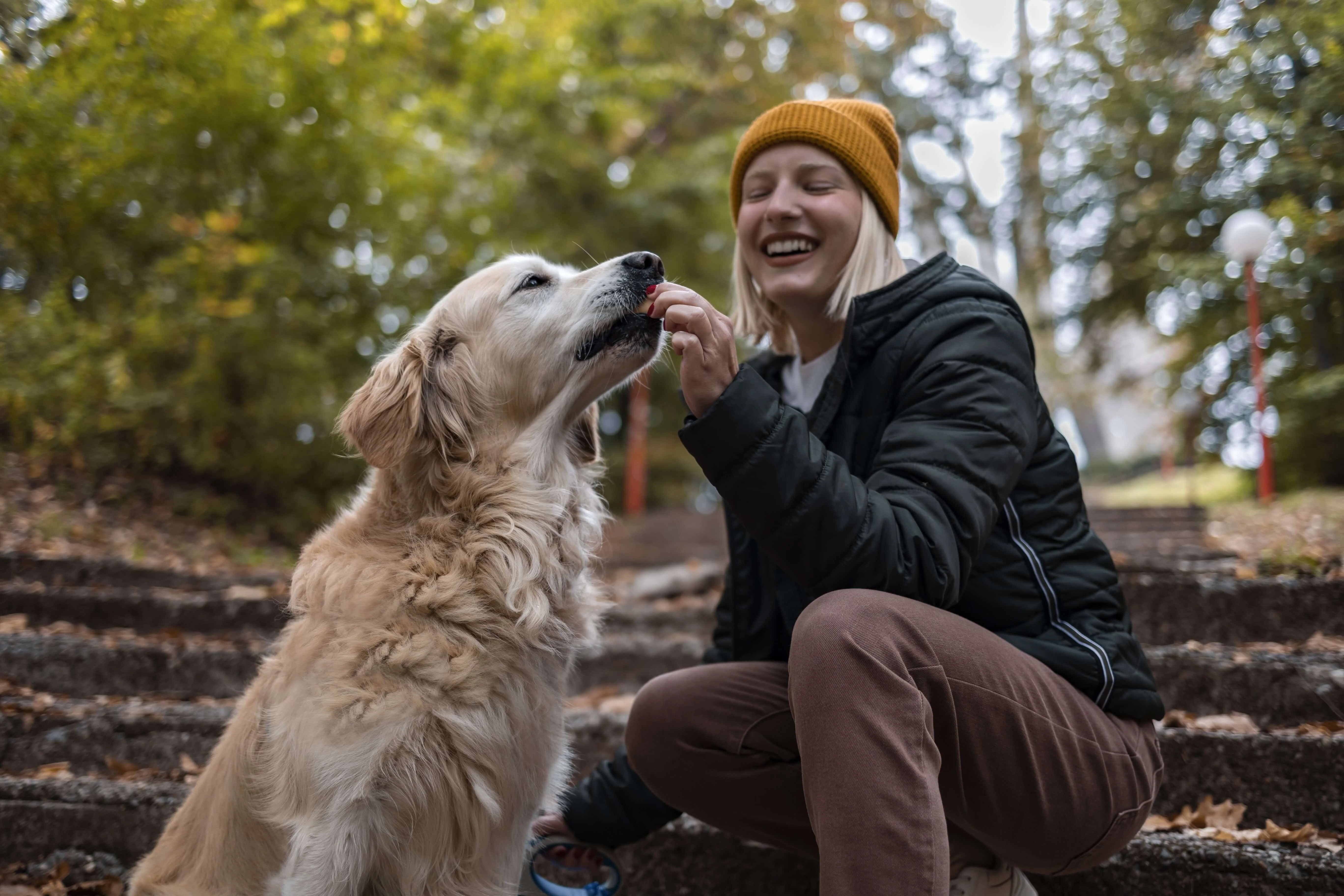 Dog receiving treat from owner crouched down in park