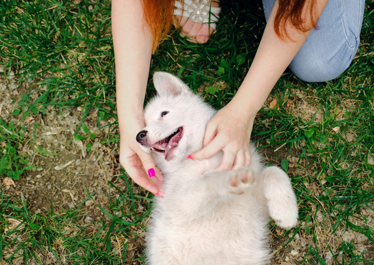 A woman hugging a fluffy dog in a field with trees in the distance