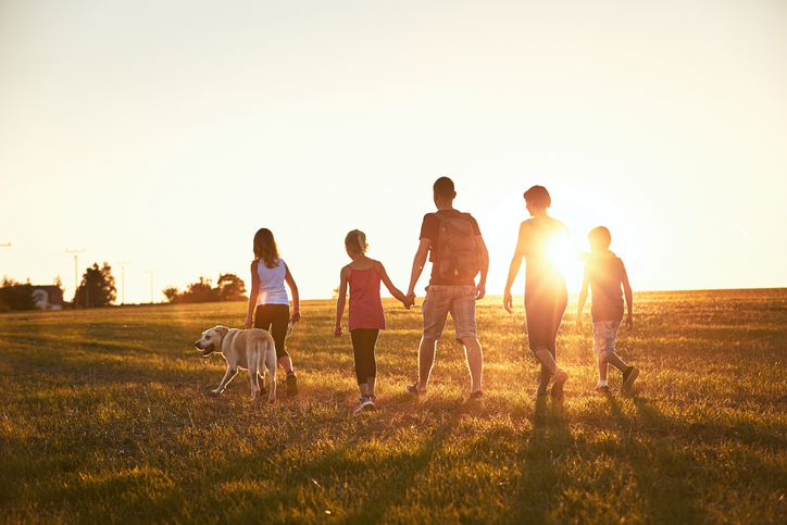 A family taking their dog for a walk in the countryside at sunset