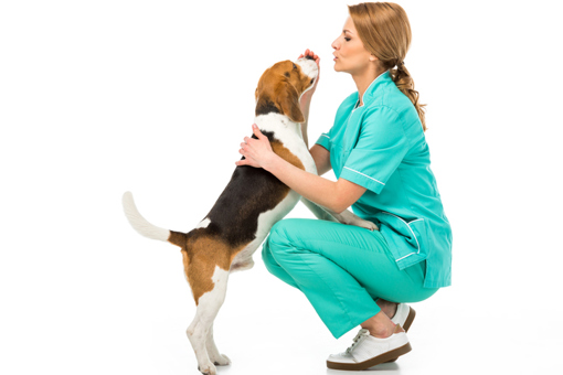 A vet crouching down to greet a dog