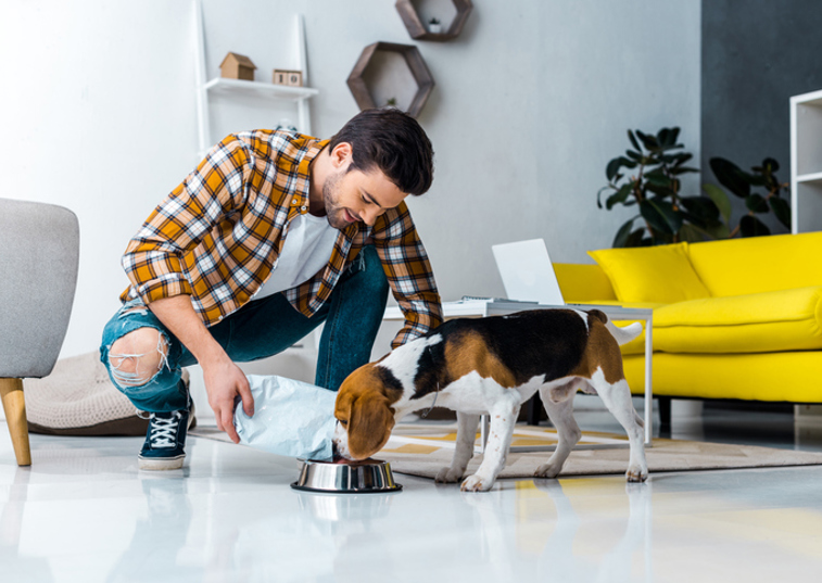 Owner feeding dog