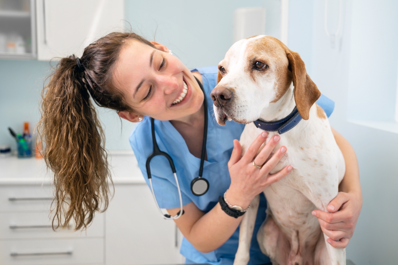 dog at the vet