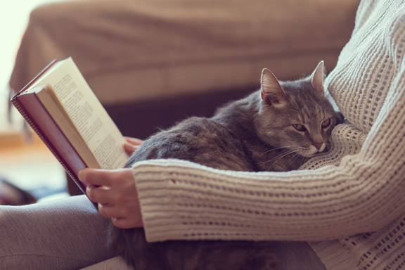 A person reading a book with a cat asleep on their lap