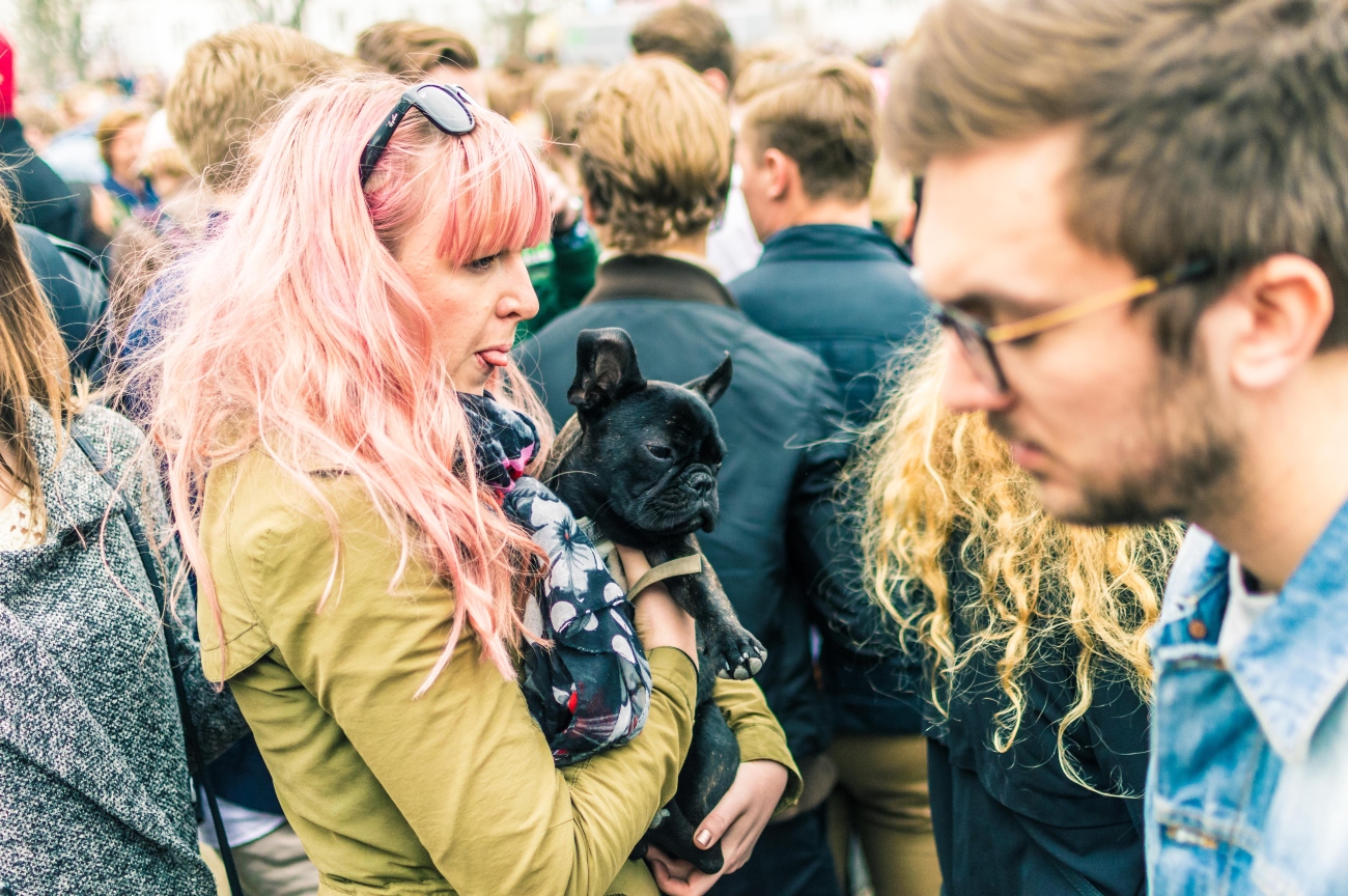 Dog being carried