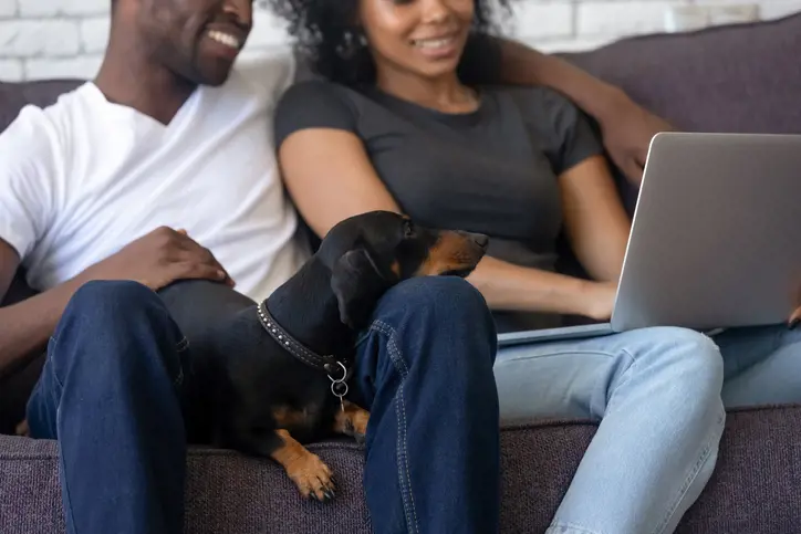 Couple with their dog