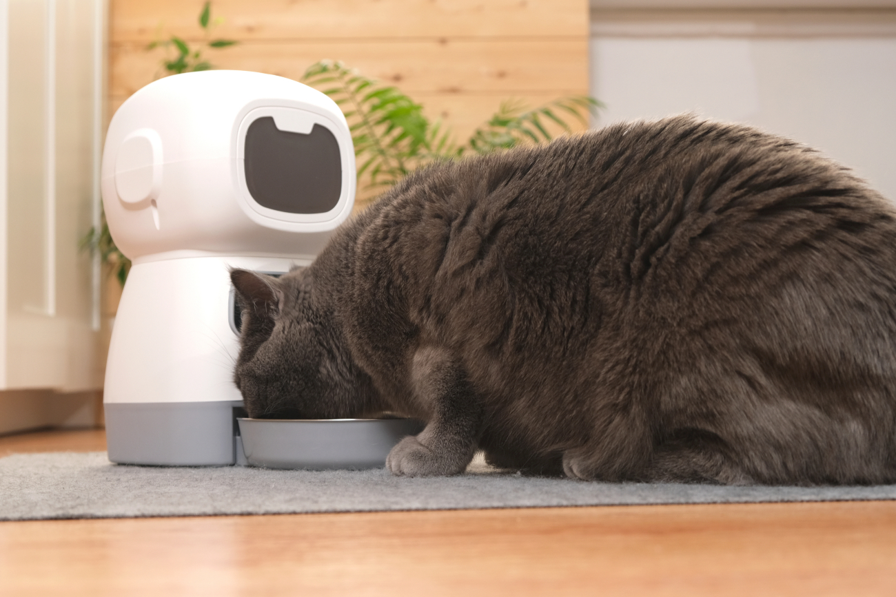 brown cat eating from cat feeder