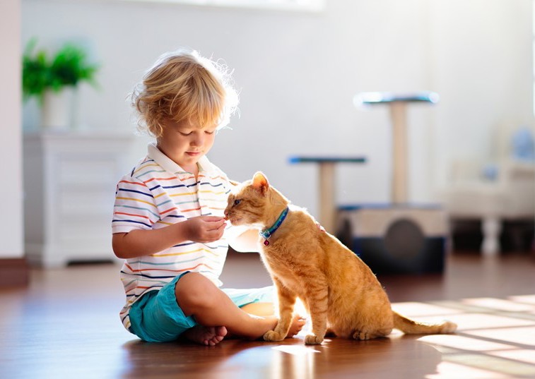 How to keep children safe around cats