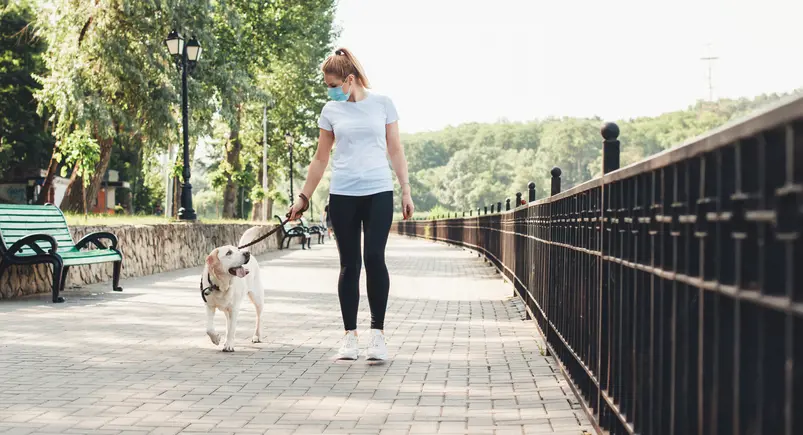 Dog walk with Face Mask