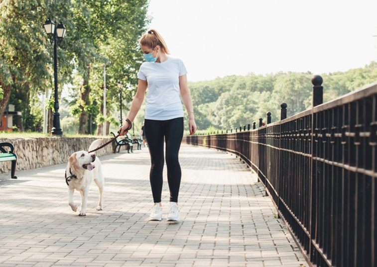 Dog walk with Face Mask