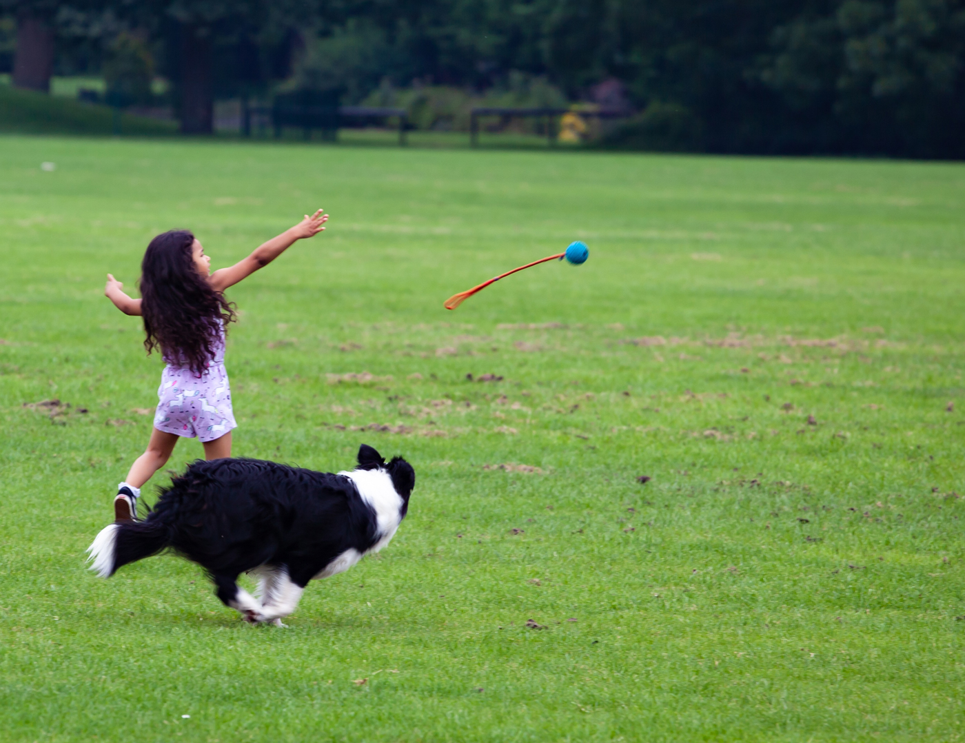 A child throwing a toy for a dog in a park