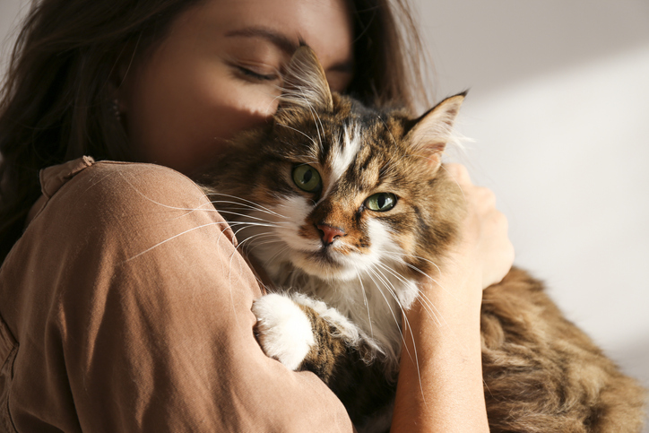 cat with owner