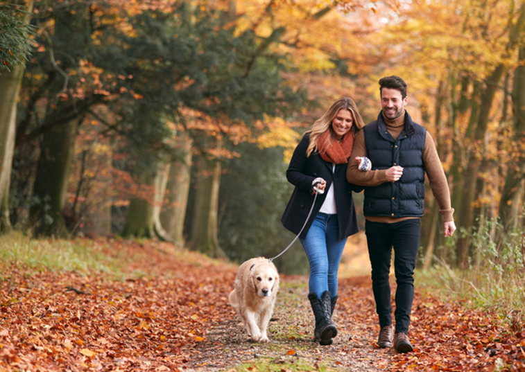 Couple Dog Walking