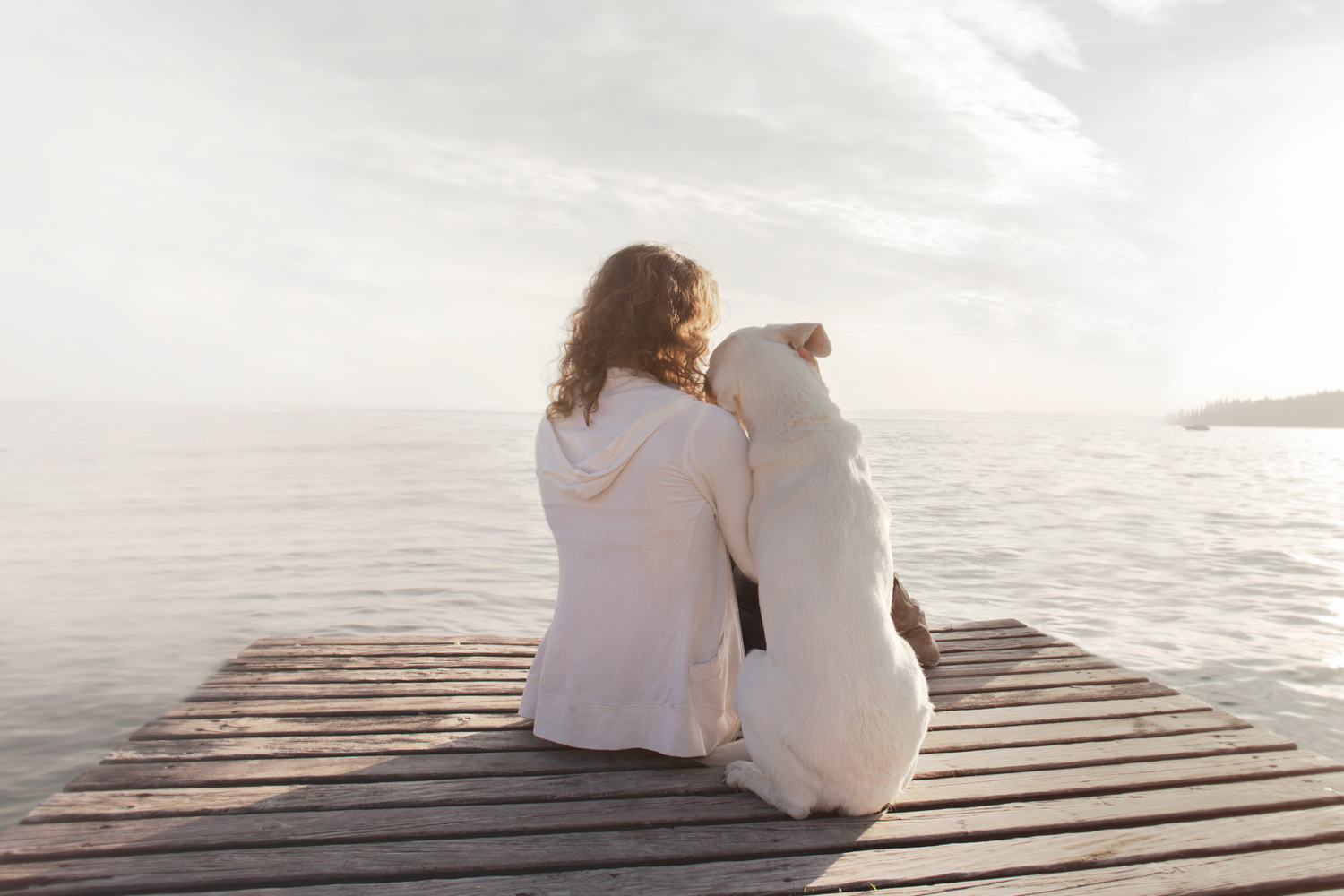 A lady sitting next to her dog on a jetty looking out to sea at sunset