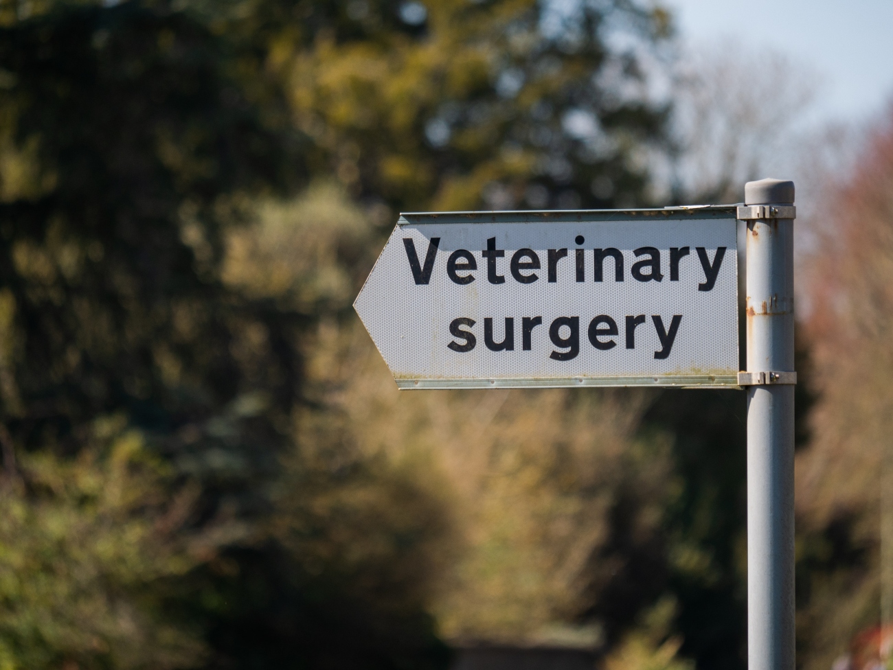 Vet sign