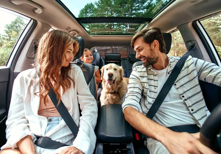 Dogs prefer electric vehicles, study finds