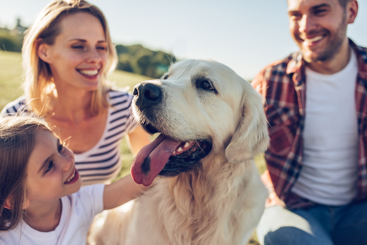 Dog sitting with tongue out with family surrounding on a sunny day on a walk