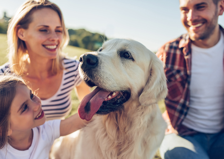 Happy family dog